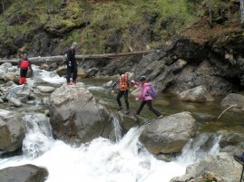 Αρκουδόρεμα, Βάλια Κάλντα, 2011