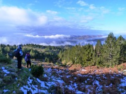 Ανεβαίνοντας η θέα προς τη λίμνη Αώου και το Περιστέρι