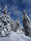 xelwna feb 2013 3