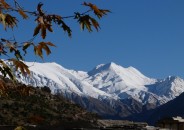 Η Κακαρδίτσα από το Συρράκο