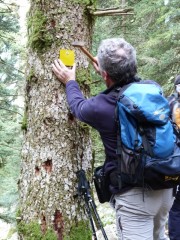 Επί τω έργω