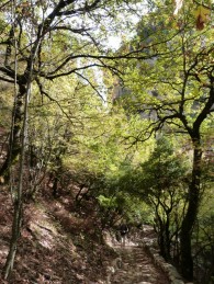 Στο λιθόστρωτο μονοπάτι για την Μονή Βαρλαάμ