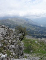 μετά τις πρώτες κορδέλες στο πλάτωμα (βλέποντας και την μηκοτομή κοντά στη βρύση)