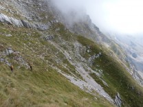 Έχοντας πλέον αποκτήσει το τελικό ύψος