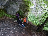 Νεραϊδόβρυση