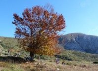 Πίσω δεξιά φαίνεται η κορυφή της Μικρής Τζένας